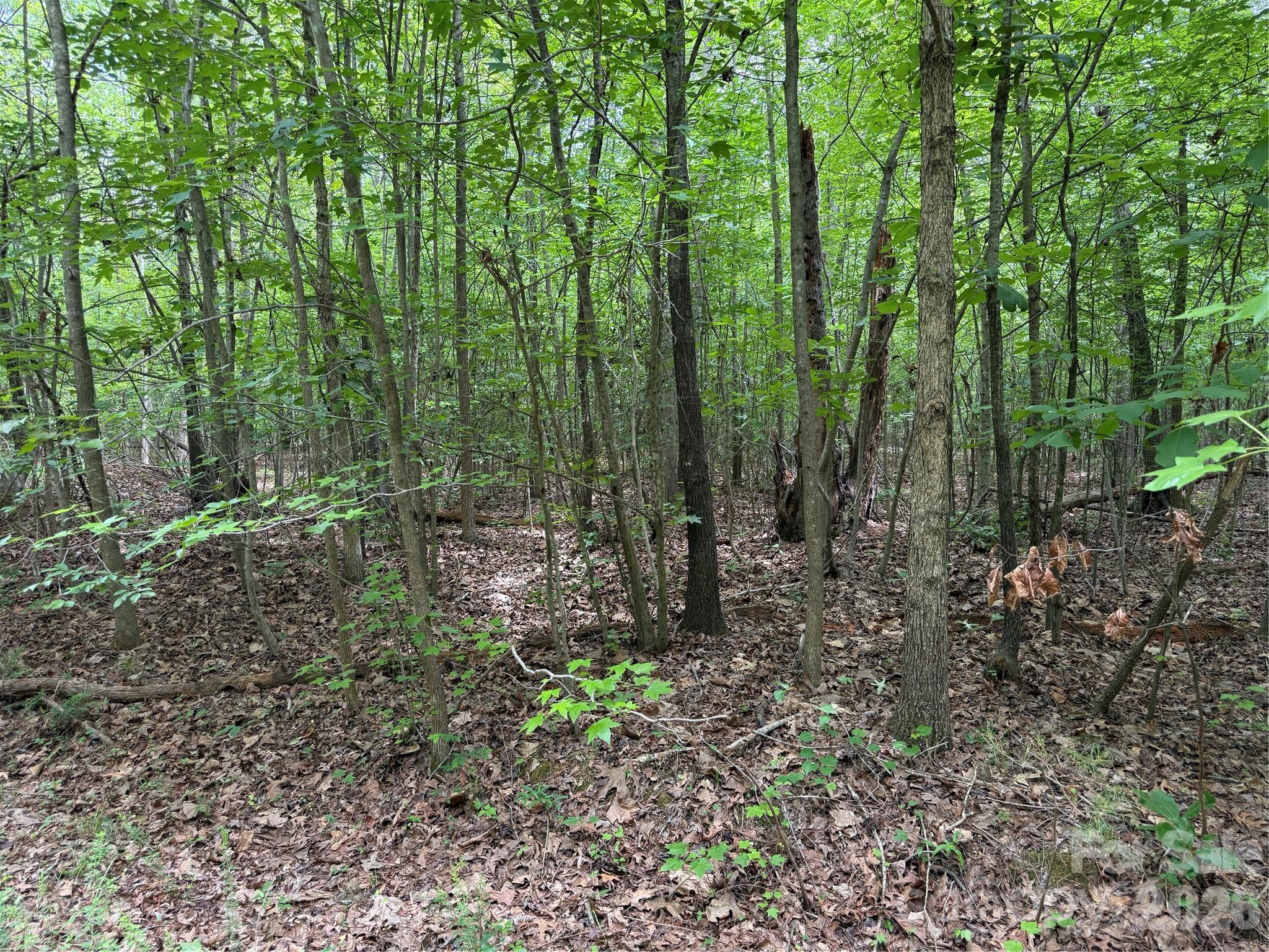 0 Herbert Faucette Road Bullock, NC 27507 - Photo 7 of 40