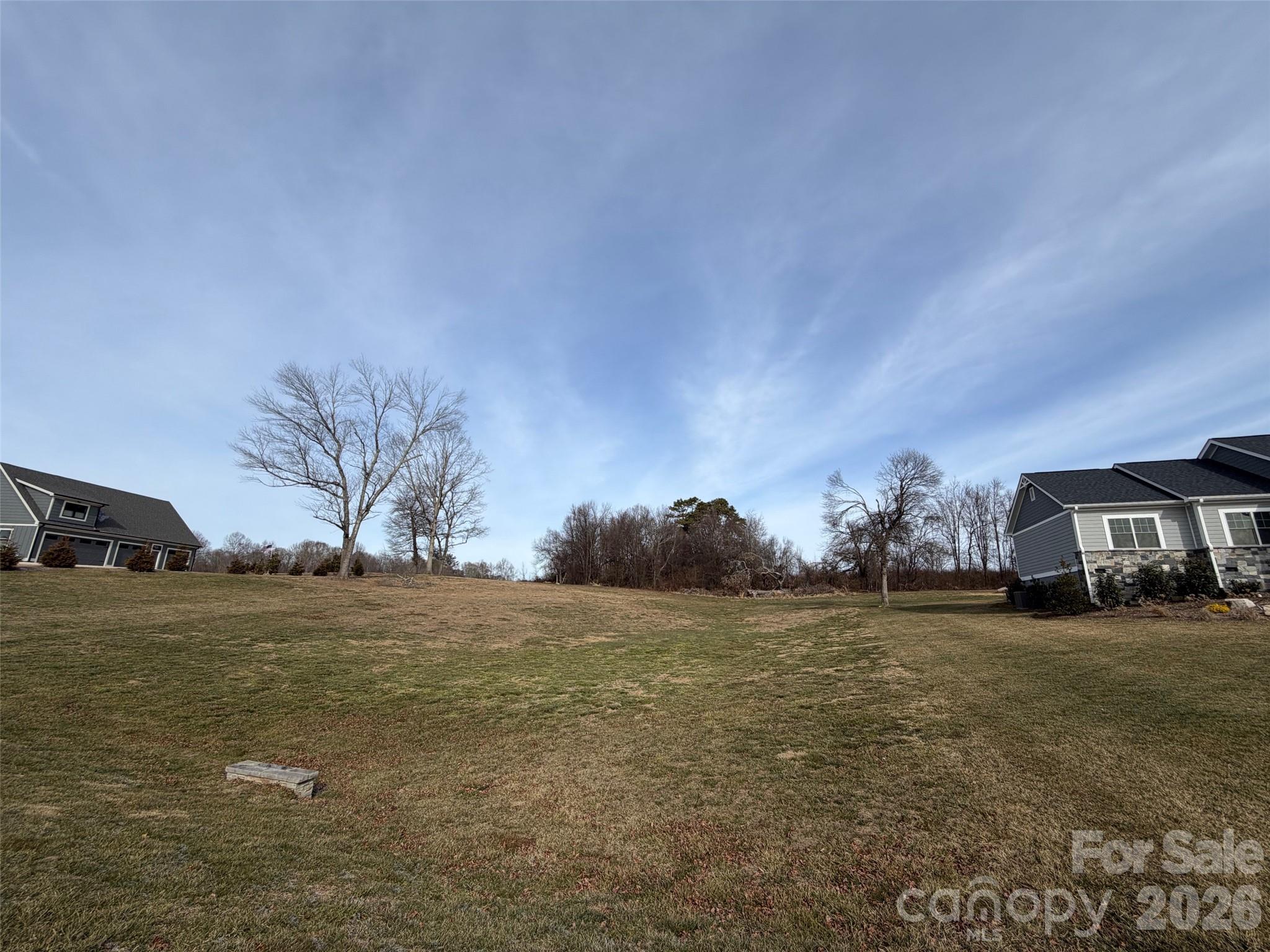 0 Majestic Ridge Road Mills River, NC 28759 - Photo 4 of 9