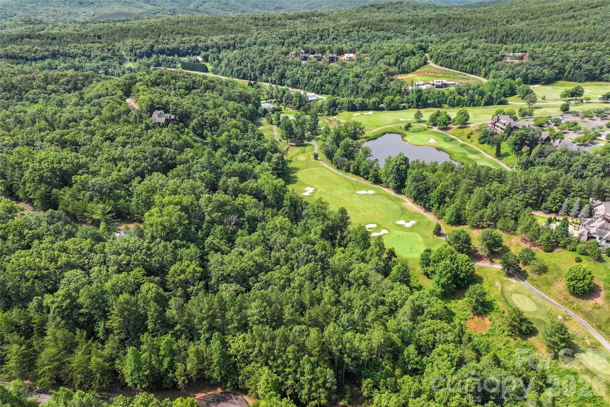 Lot 24 Monteith Pl Mill Spring Mill Spring, NC 28756 - Photo 13 of 24