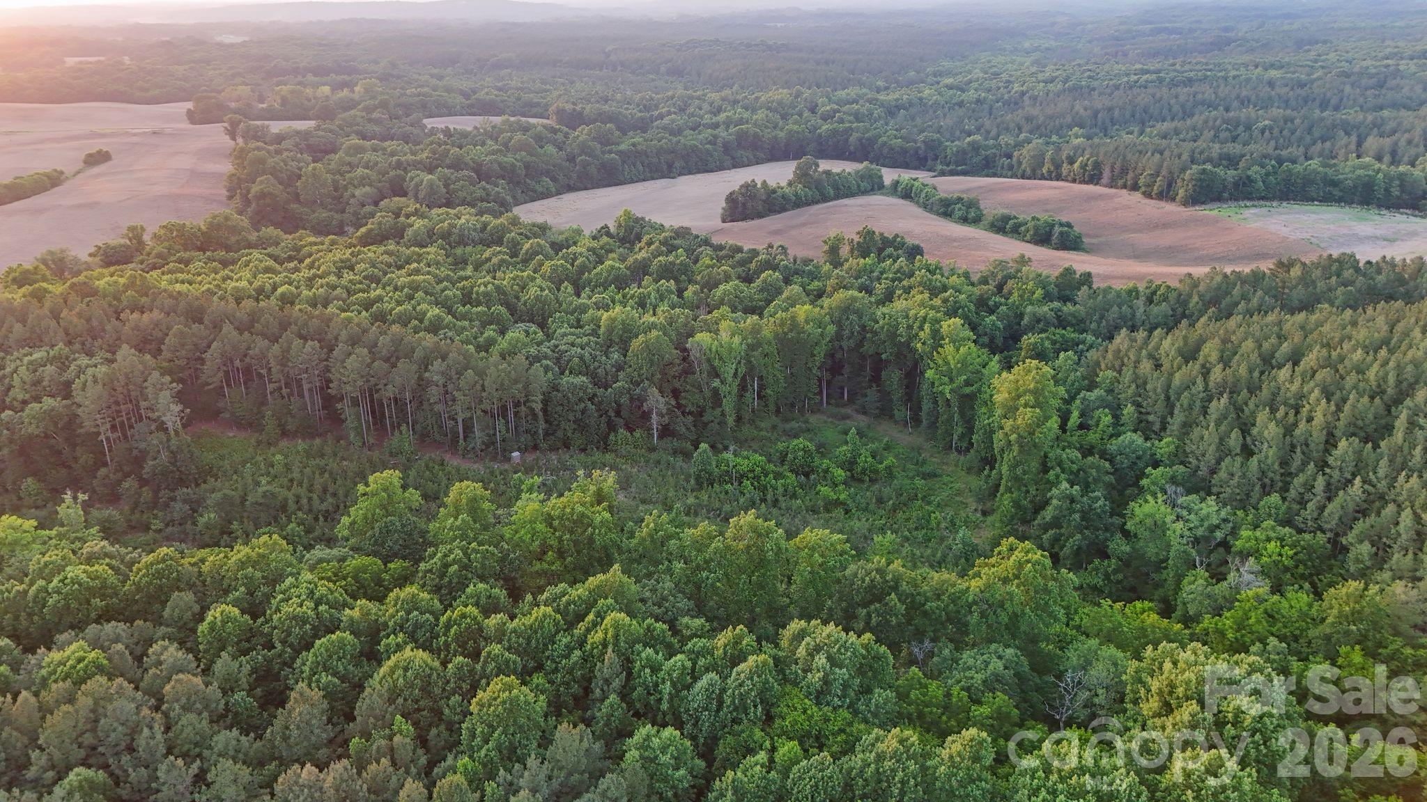 0 Lucy Short Cut Road, Unit 3 Marshville, NC 28103 - Photo 32 of 47