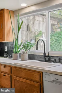 a kitchen with a sink a counter top space and a potted plant