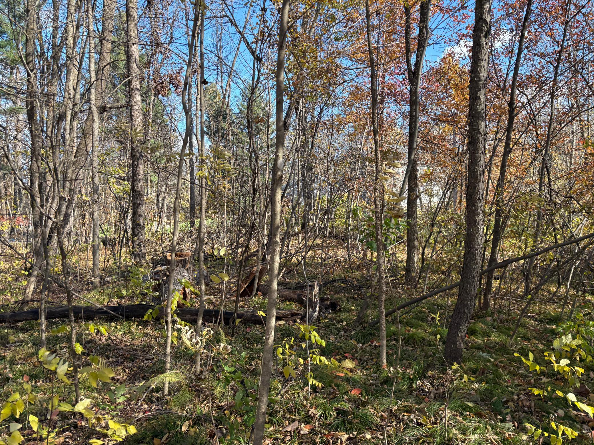 28104 Wilderness Road Pine City, MN 55063 - Photo 31 of 37