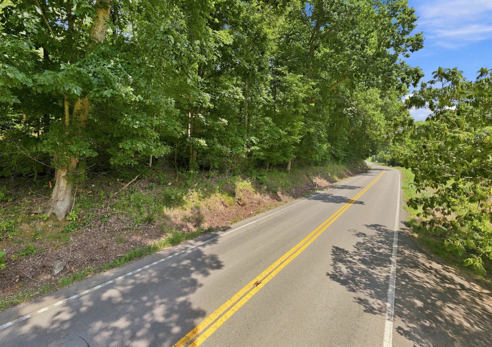 0 Slayden Wood Road Vanleer, TN 37181 - Photo 13 of 25 Gallery Image 13