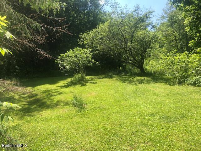 78 South Main Road Otis, MA 01253 - Photo 4 of 10 a view of yard with green space