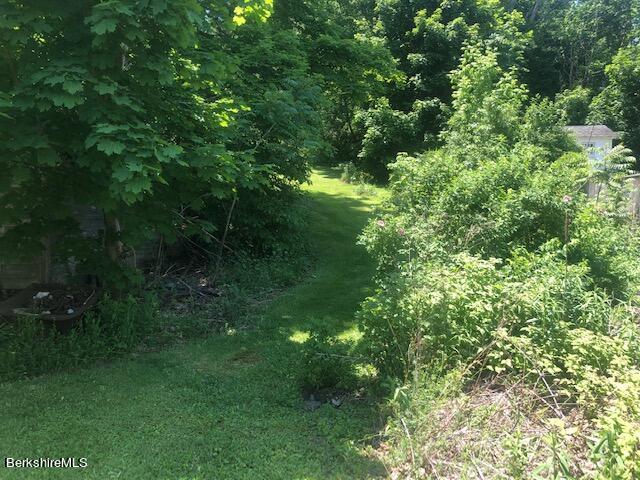 78 South Main Road Otis, MA 01253 - Photo 7 of 10 a view of a lush green forest