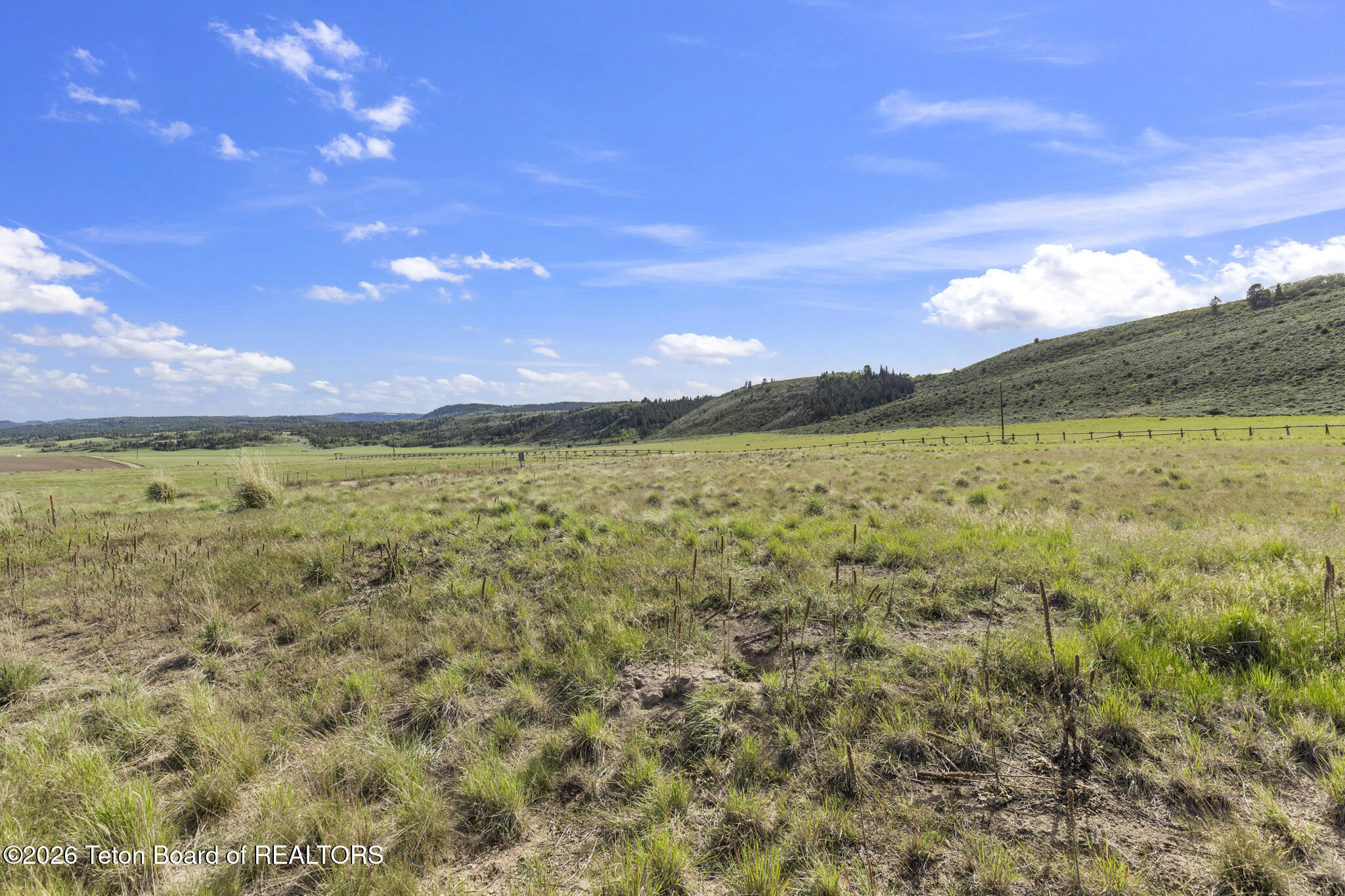 10075 Ditty Way Tetonia, ID 83452 - Photo 7 of 18 6V2A0562