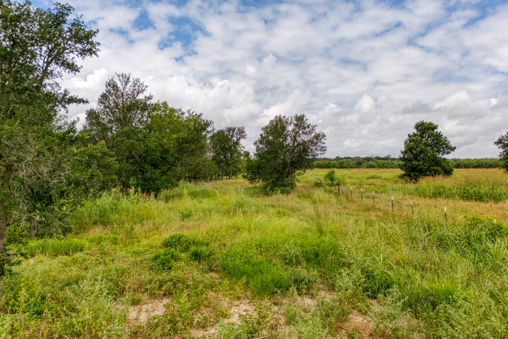 18101 Littig Road Manor, TX 78653 - Photo 12 of 35 Gallery Image 12