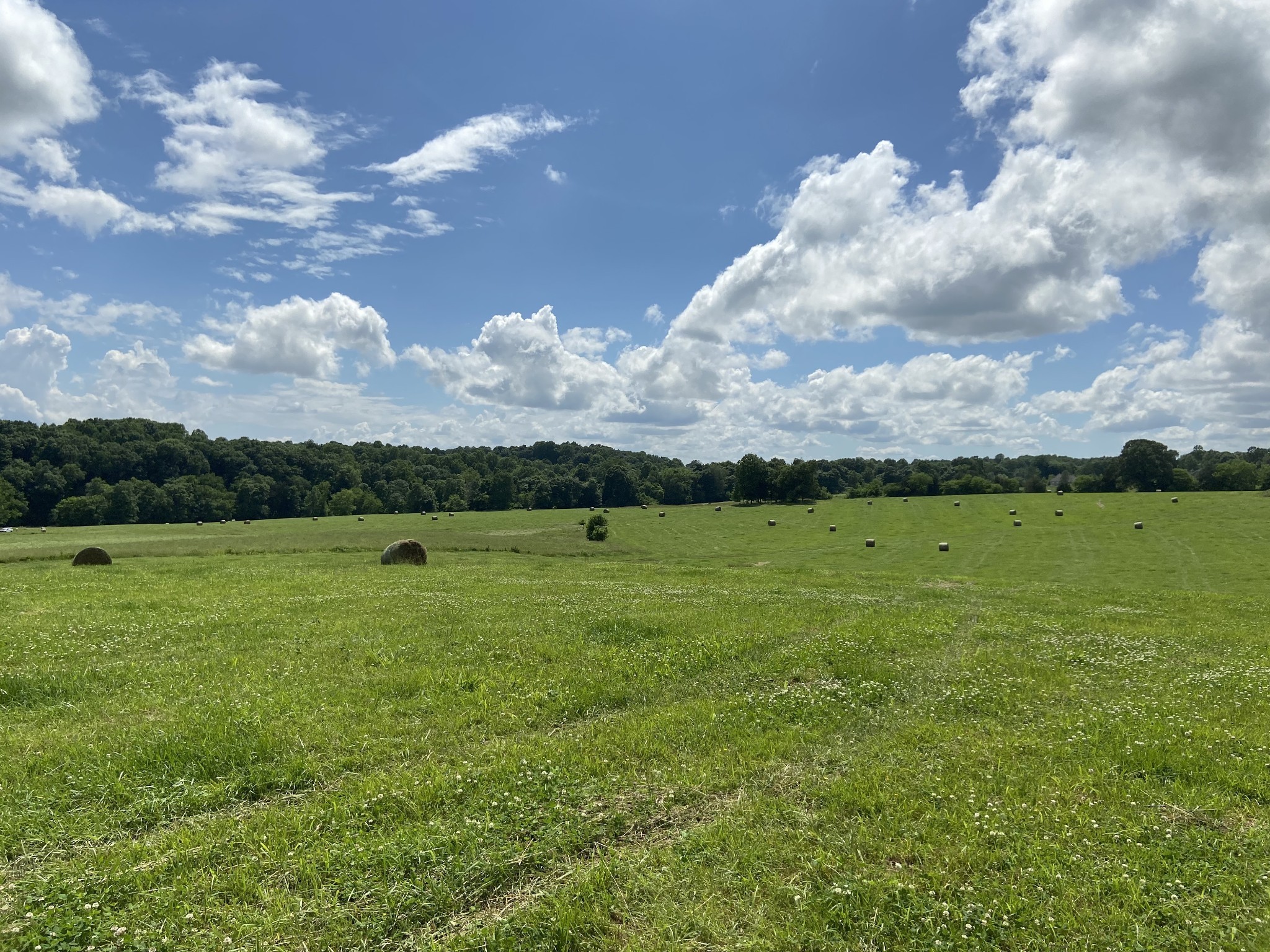 12 Maxwell Branch Road Cottontown, TN 37048 - Photo 2 of 3 Gallery Image 2