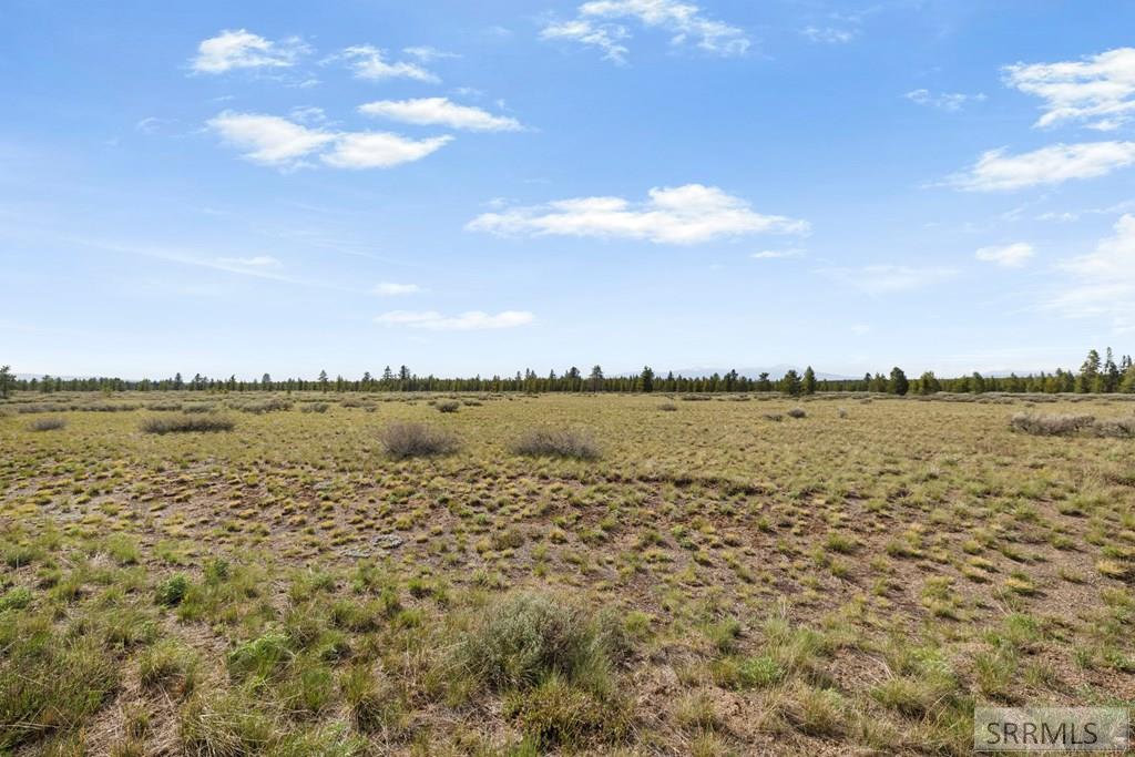 3565 Pine Grouse Road Island Park, ID 83429 - Photo 10 of 15