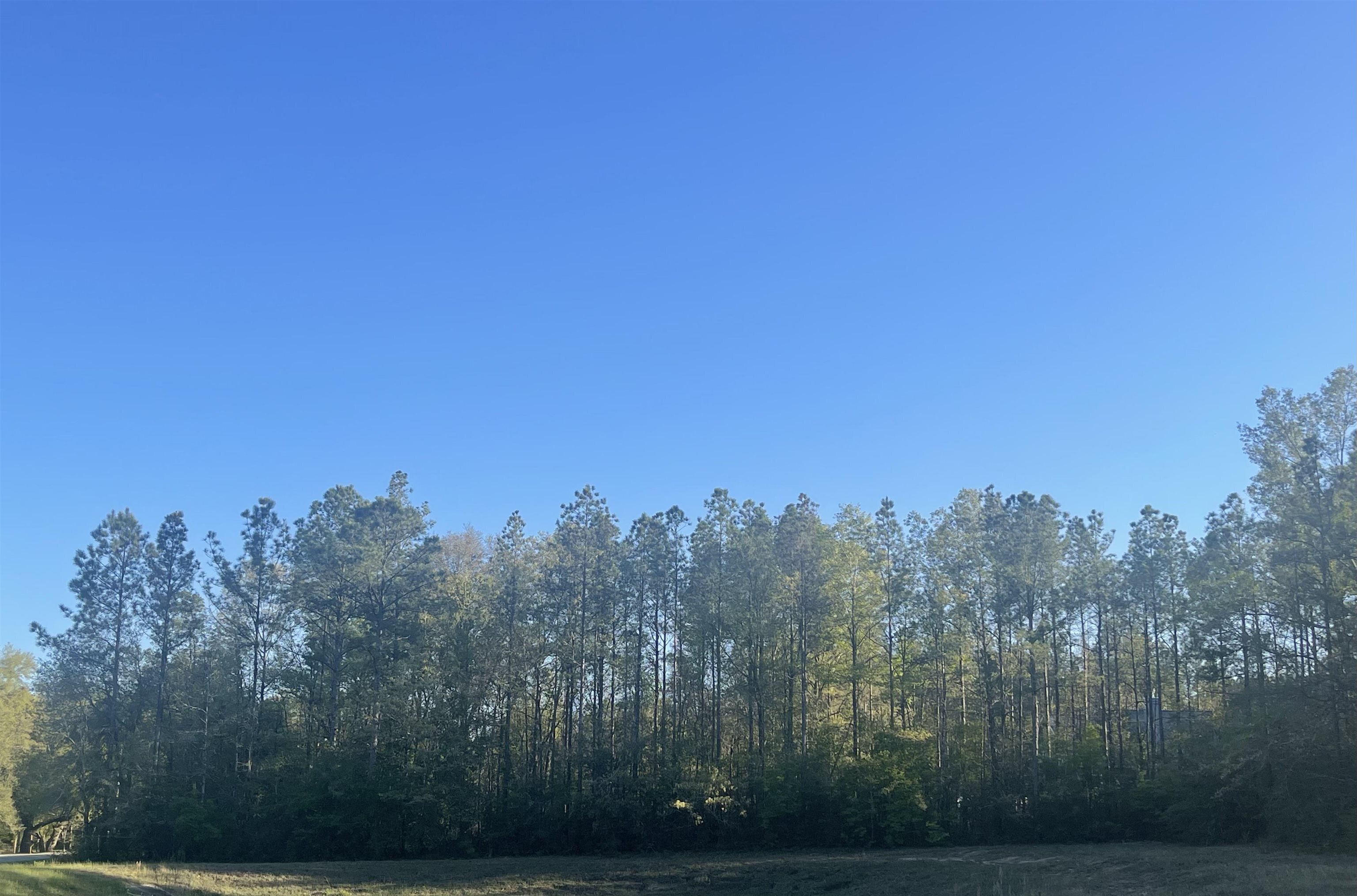 8 Cayden Circle Stapleton, AL 36578 - Photo 3 of 4