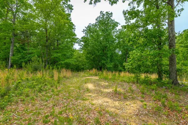 $110,000 | 0 Moonlight Lane, Unit JF444, Jasper, TN 37347