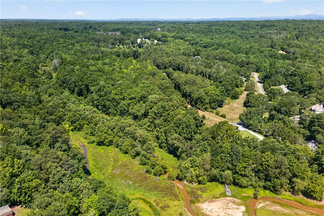 0 Seneca Springs Landing Road Seneca, SC 29678 - Photo 20 of 39 Aerial view showcasing a vast expanse of lush forest, a winding road, and glimpses of residential properties.