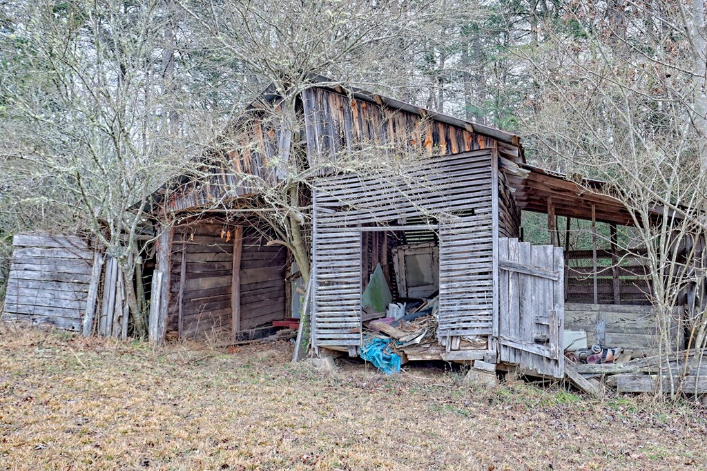 9 Wig King Road Murphy, NC 28906 - Photo 23 of 64