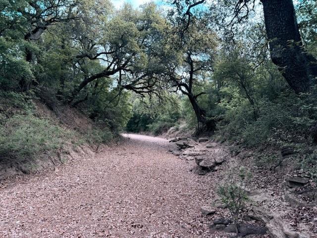 950 442nd Rochelle, TX 76872 - Photo 1 of 20