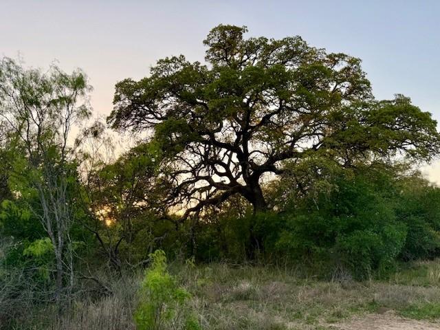 950 442nd Rochelle, TX 76872 - Photo 13 of 20