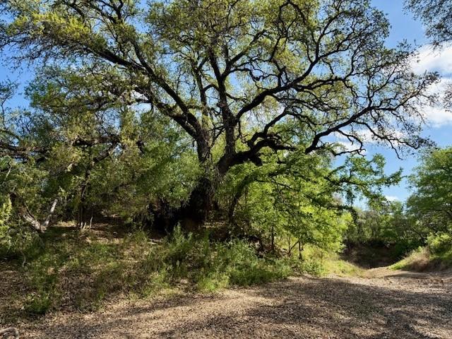 950 442nd Rochelle, TX 76872 - Photo 14 of 20