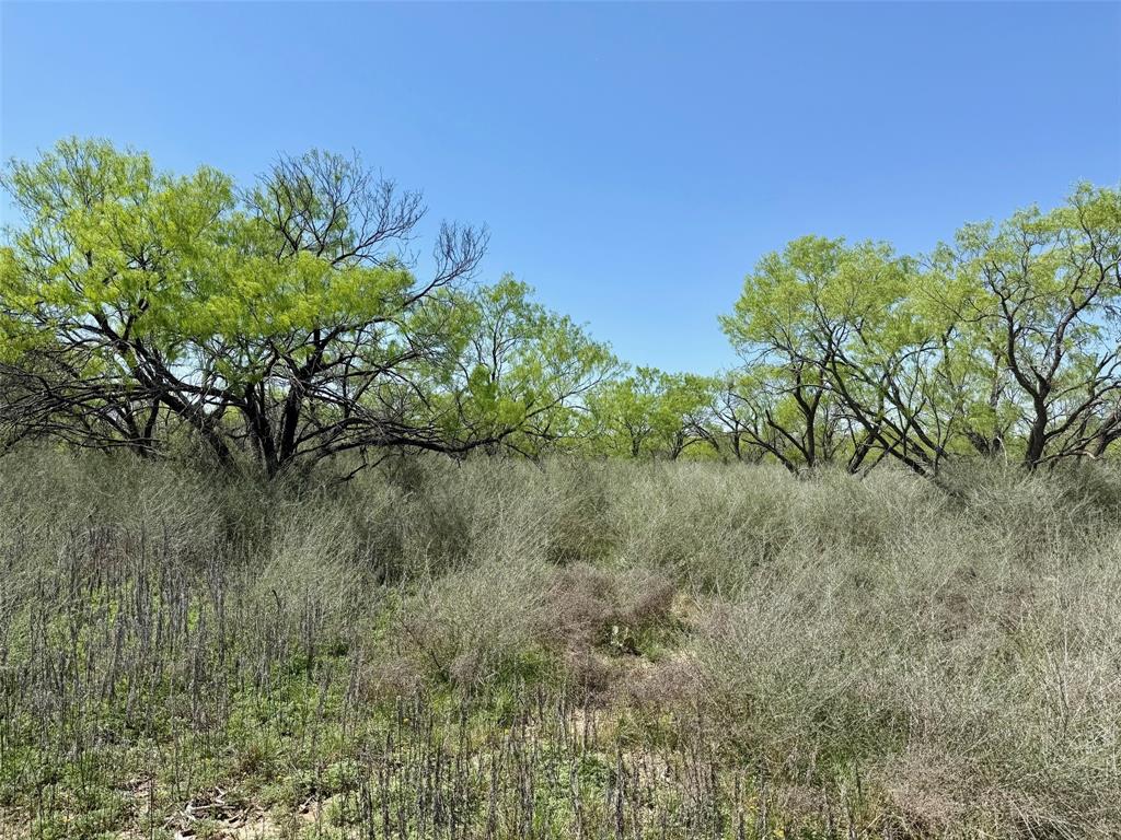 950 442nd Rochelle, TX 76872 - Photo 16 of 20
