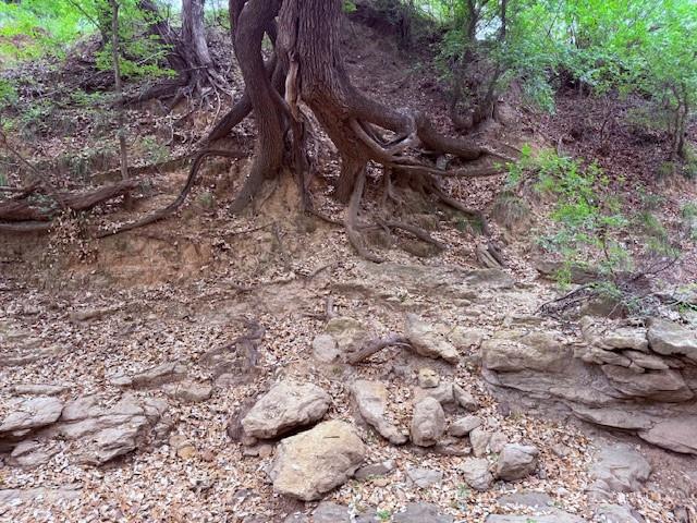 950 442nd Rochelle, TX 76872 - Photo 17 of 20