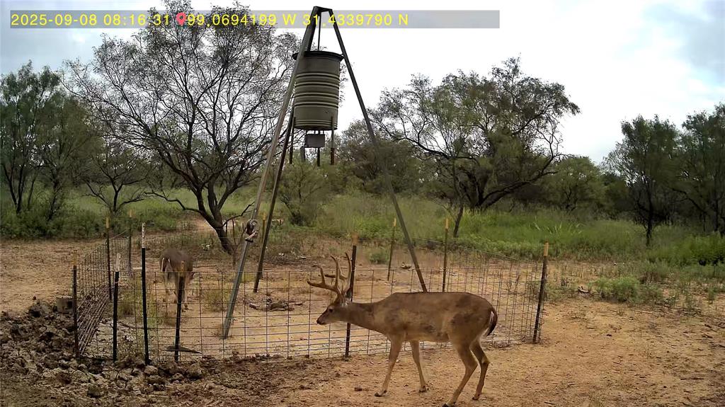 950 442nd Rochelle, TX 76872 - Photo 2 of 20