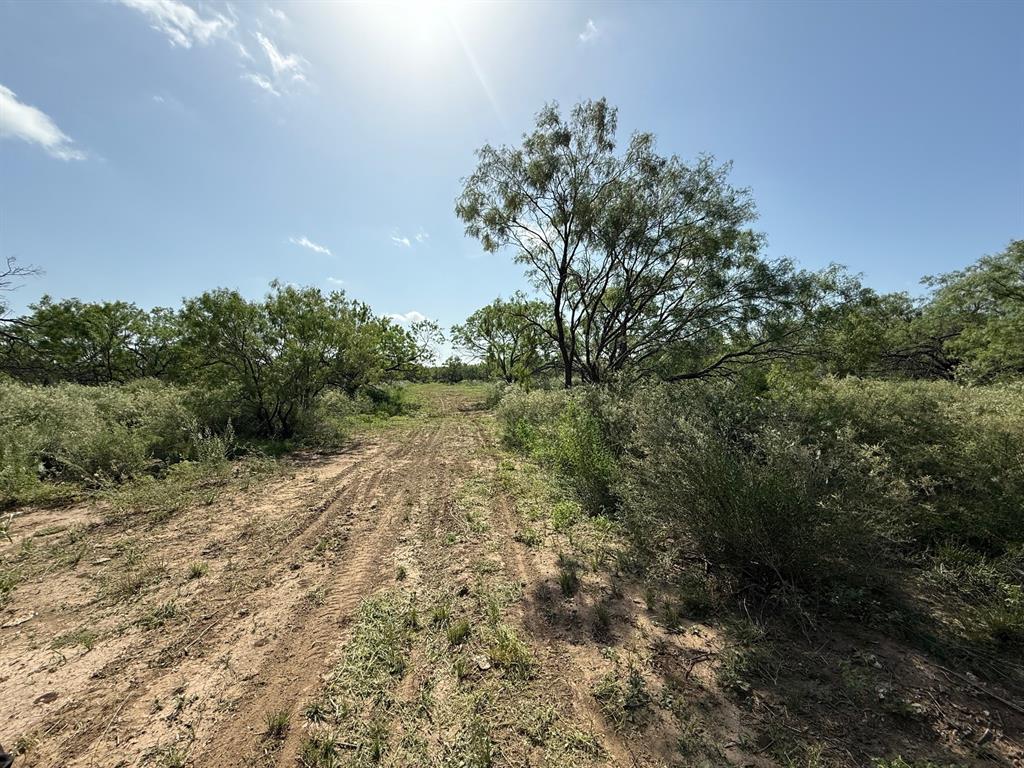 950 442nd Rochelle, TX 76872 - Photo 5 of 20