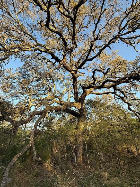 950 442nd Rochelle, TX 76872 - Photo 6 of 20