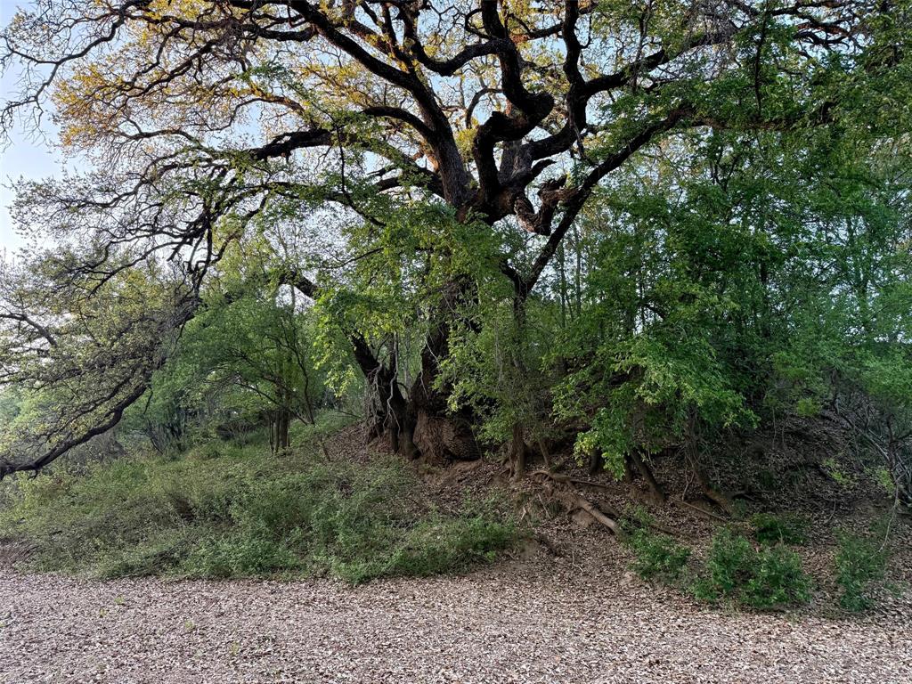 950 442nd Rochelle, TX 76872 - Photo 10 of 20