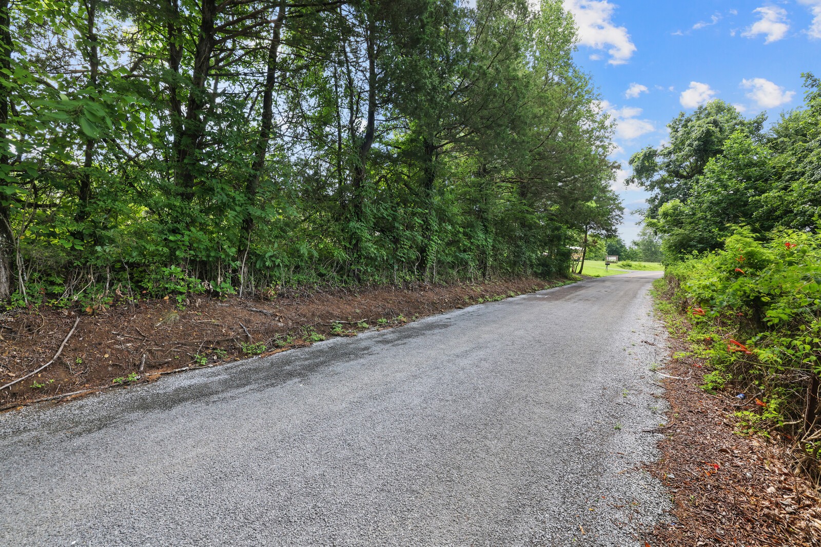 0 Union Ridge Road Wartrace, TN 37183 - Photo 15 of 15