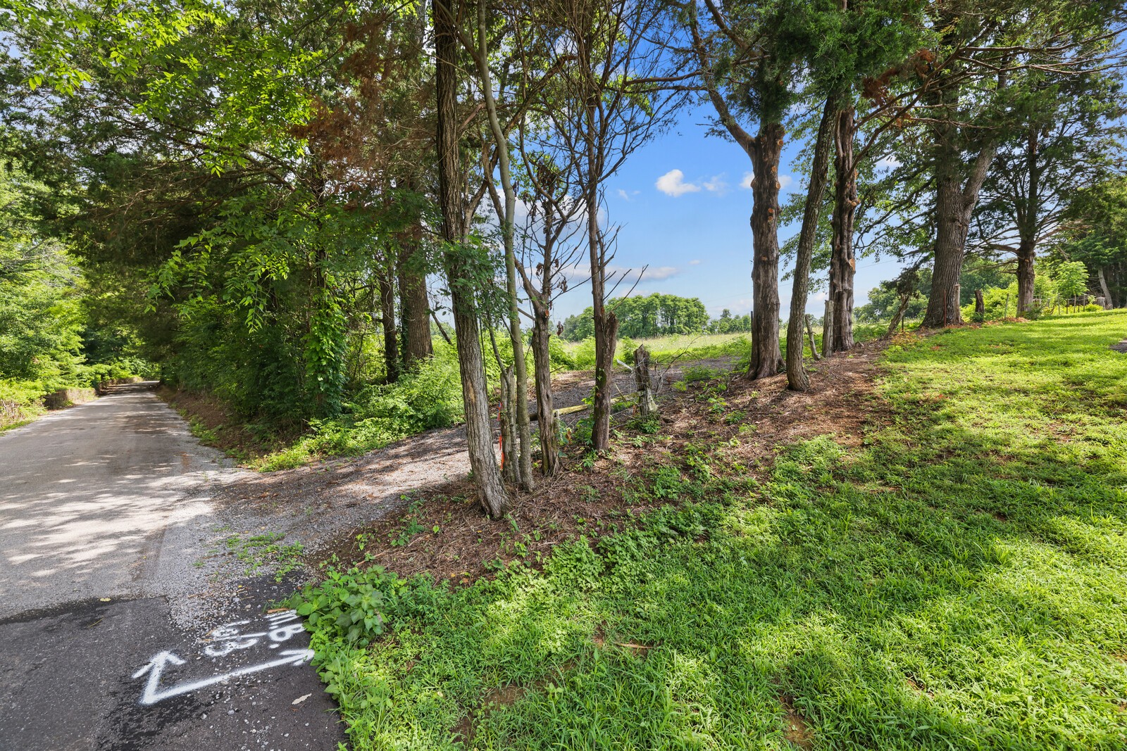 0 Union Ridge Road Wartrace, TN 37183 - Photo 9 of 15