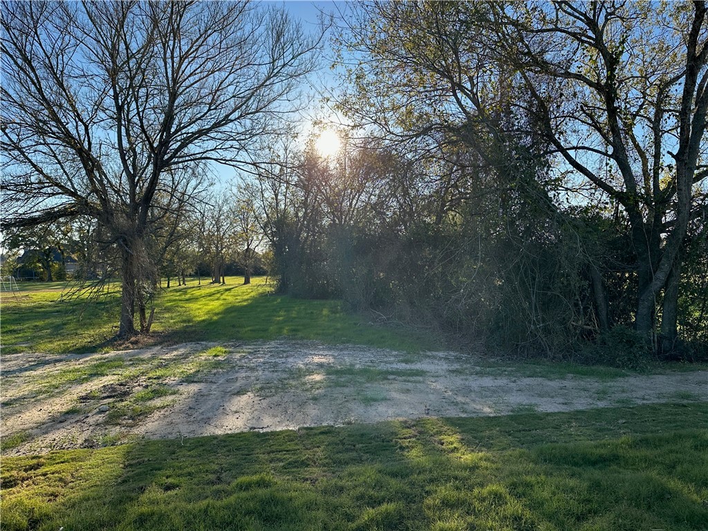 10474 Whiskey River Road Bryan, TX 77808 - Photo 19 of 37 a view of a yard with a tree