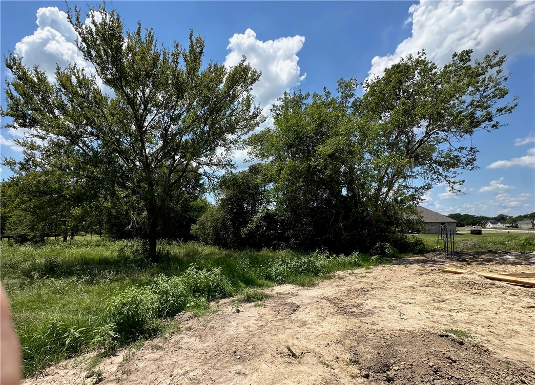 10474 Whiskey River Road Bryan, TX 77808 - Photo 34 of 37