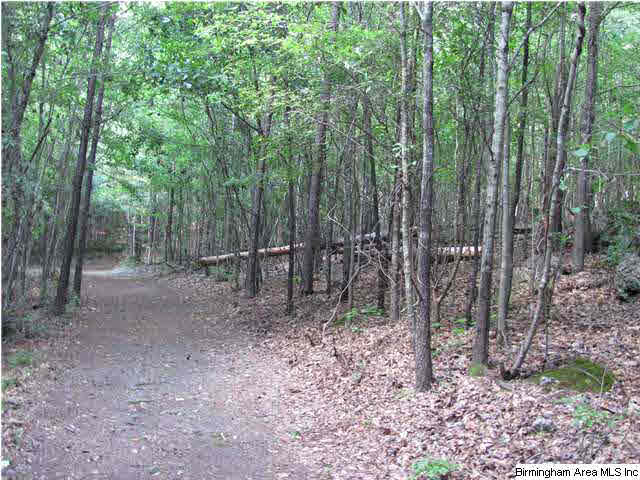 100 Cahaba Oaks Trail Pelham, AL 35124 - Photo 18 of 24