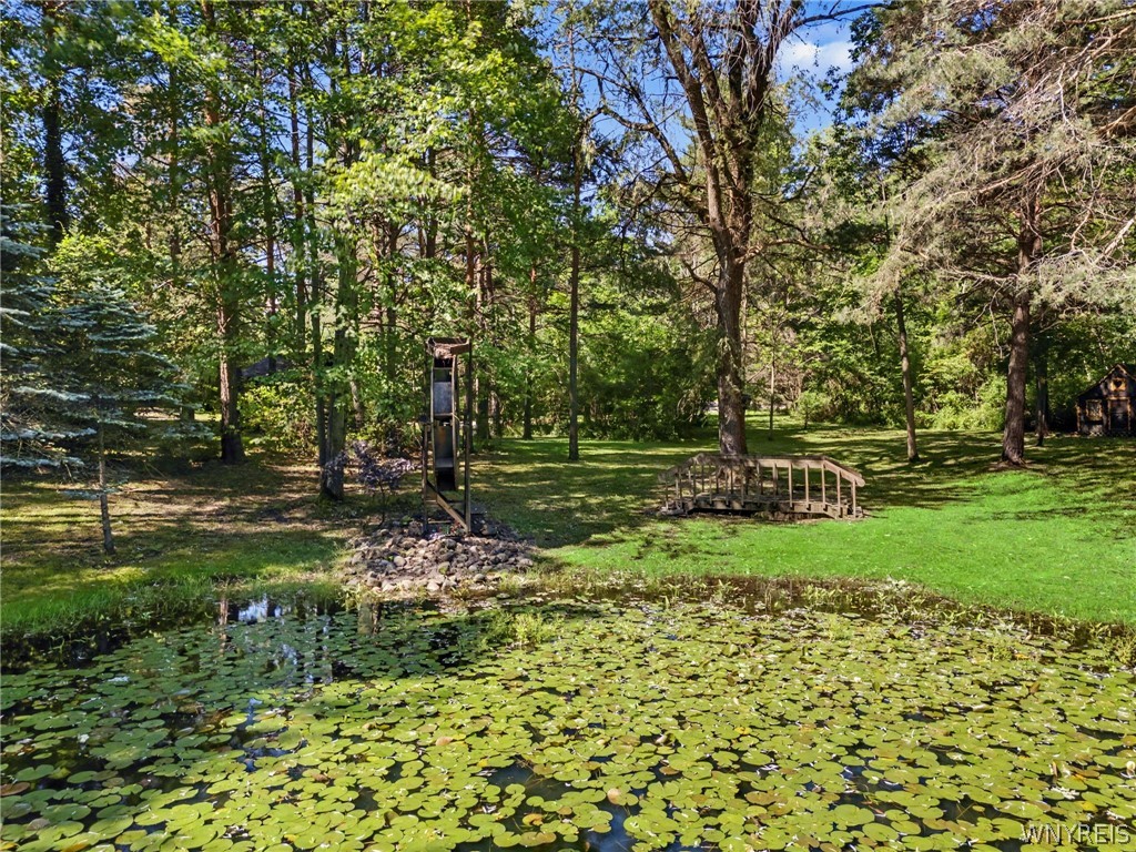10985 Griswold Road Darien, NY 14040 - Photo 48 of 50
