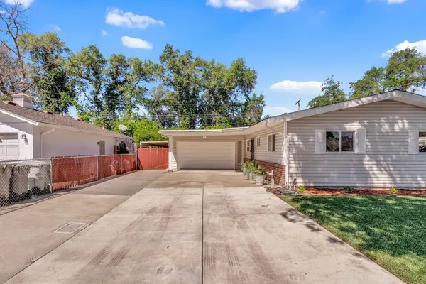 a backyard of a house with plants and tree