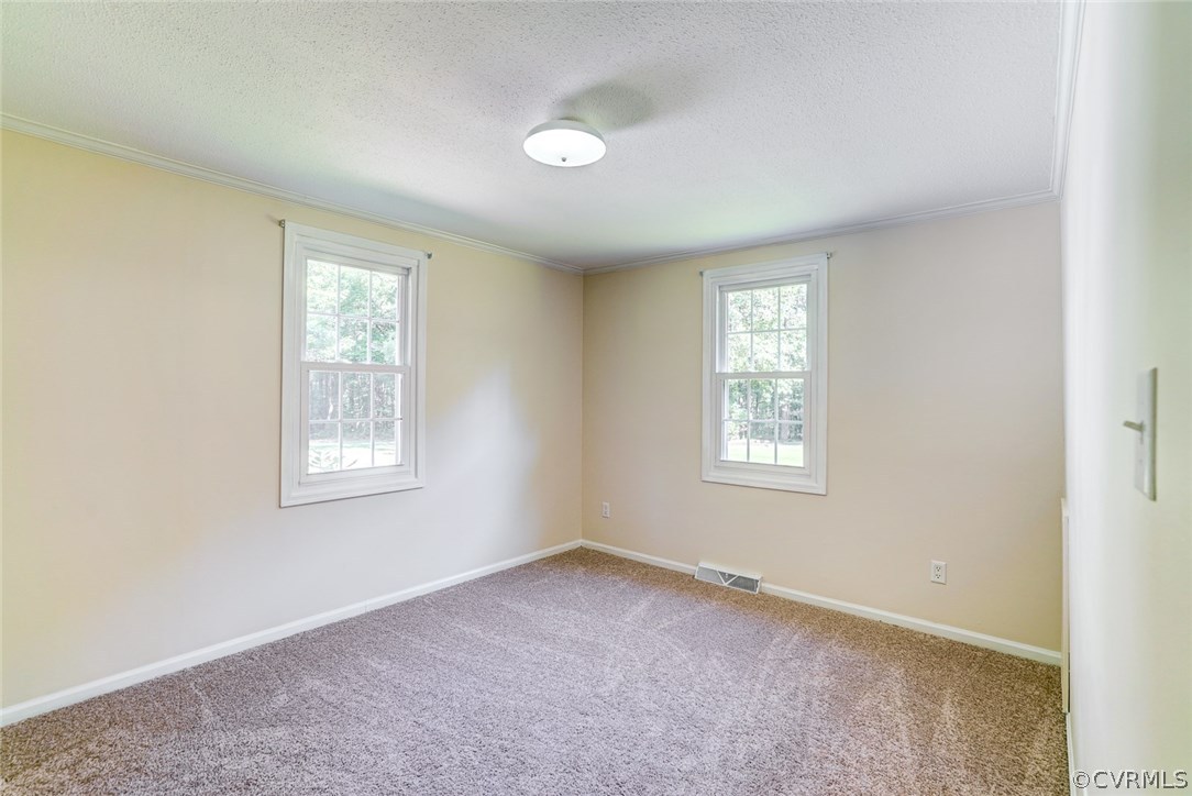 17684 Baltimore Road Dewitt, VA 23840 - Photo 23 of 42 an empty room with windows