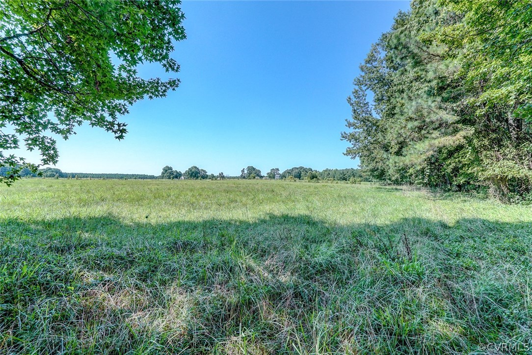 17684 Baltimore Road Dewitt, VA 23840 - Photo 38 of 42 a view of a green field with lots of bushes