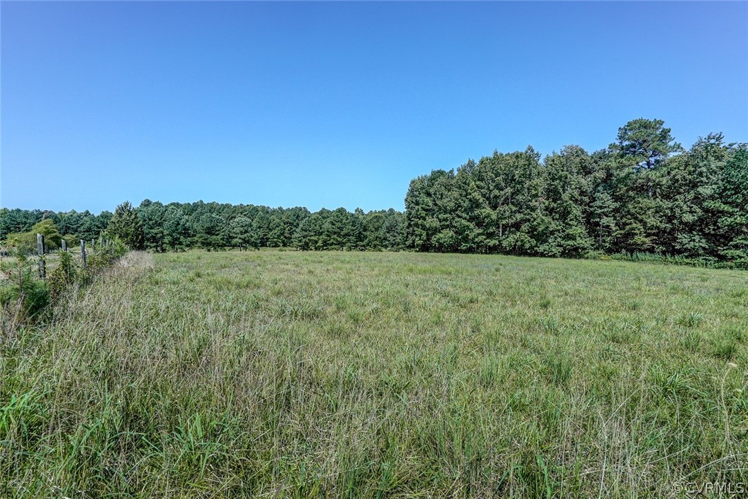 17684 Baltimore Road Dewitt, VA 23840 - Photo 39 of 42 a view of a field with a tree in the background