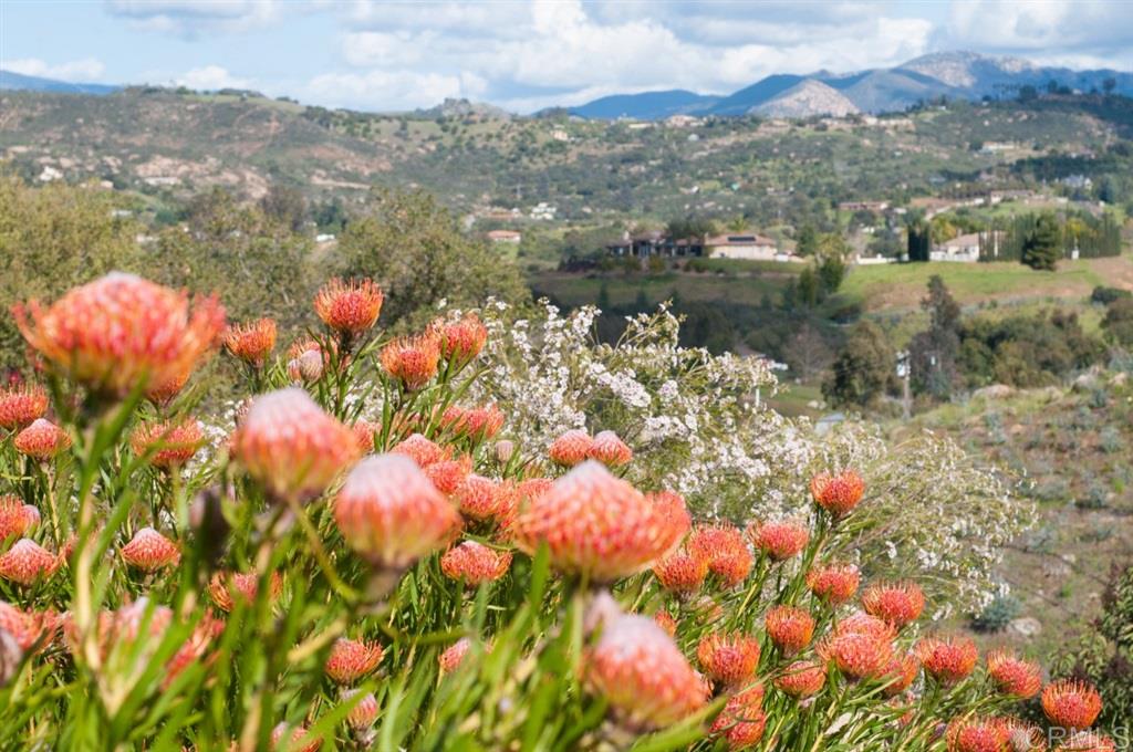 0 Old Castle Road, Unit 74 Valley Center, CA 92082 - Photo 8 of 15