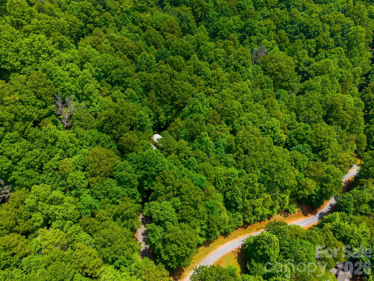 243 Jonquil Wds Road Franklin, NC 28734 - Photo 46 of 48