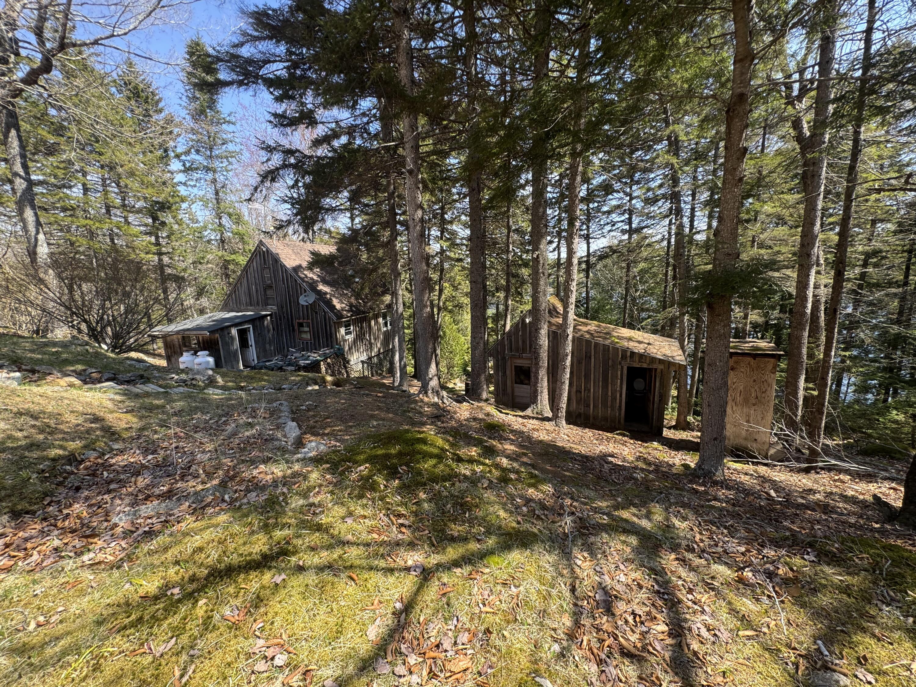 279 Carry Ridge Road Northfield, ME 04654 - Photo 16 of 26 IMG_3842
