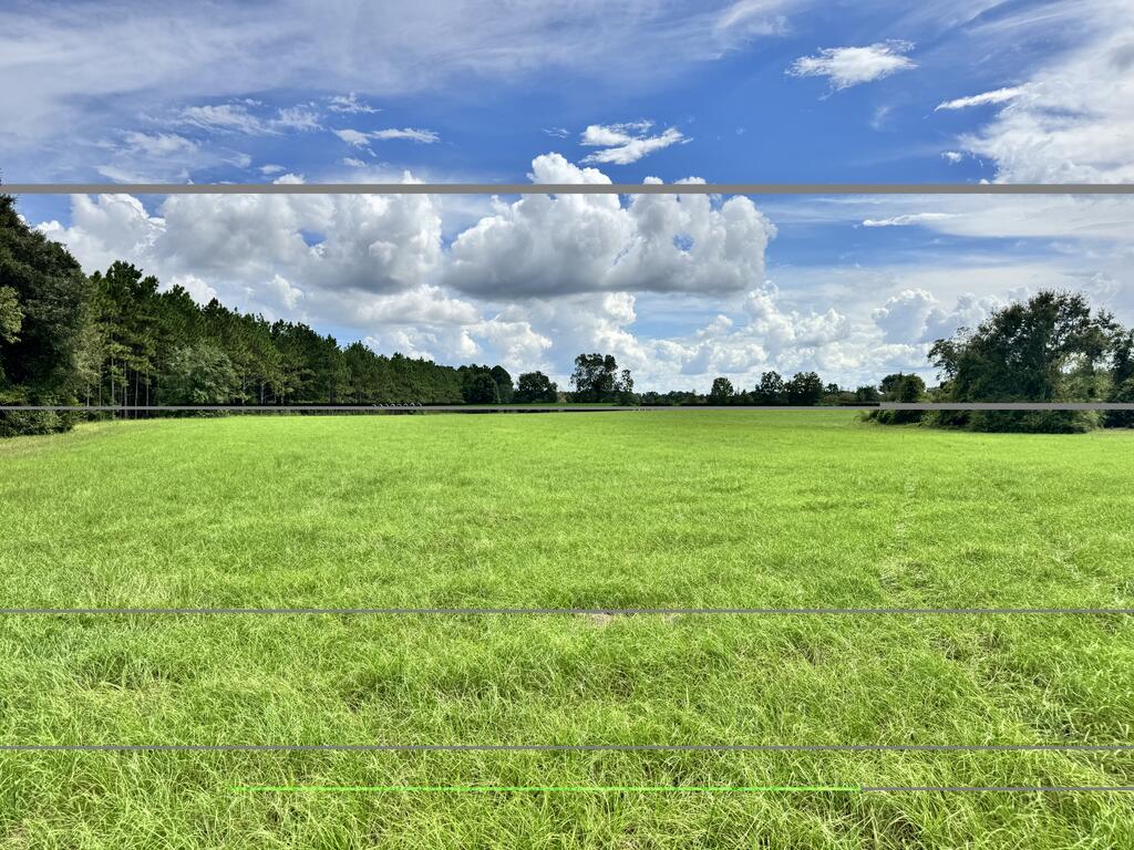 0 Cecil Varnum Road Dothan, AL 36301 - Photo 6 of 6 Gallery Image 6