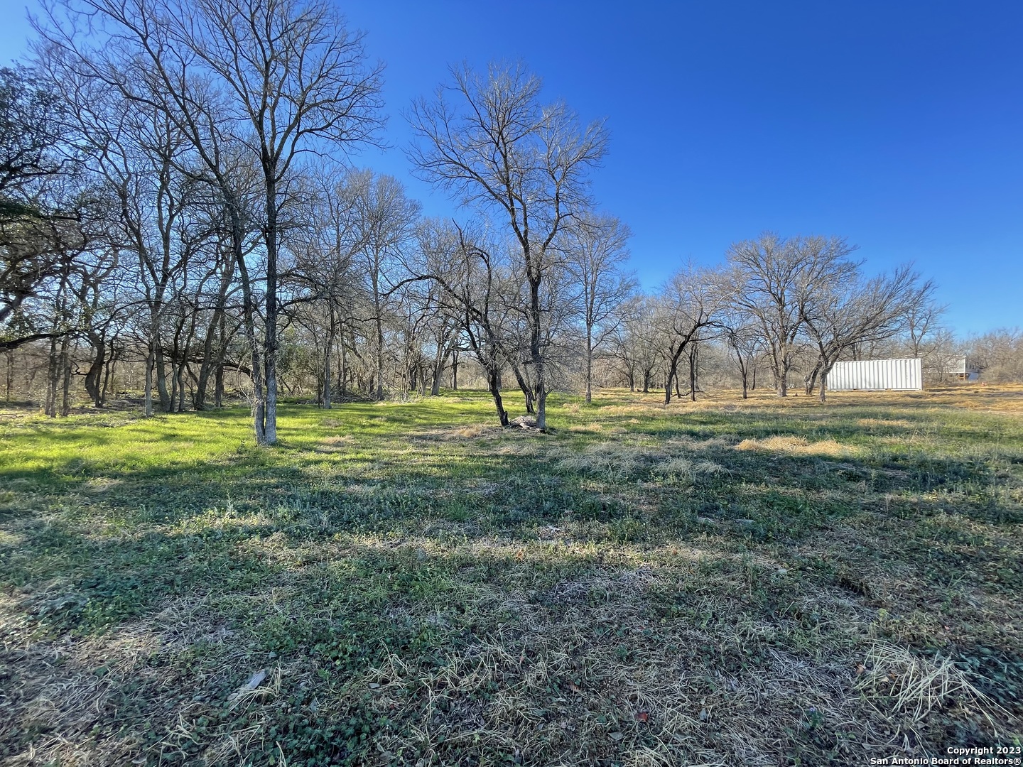 a view of field with trees