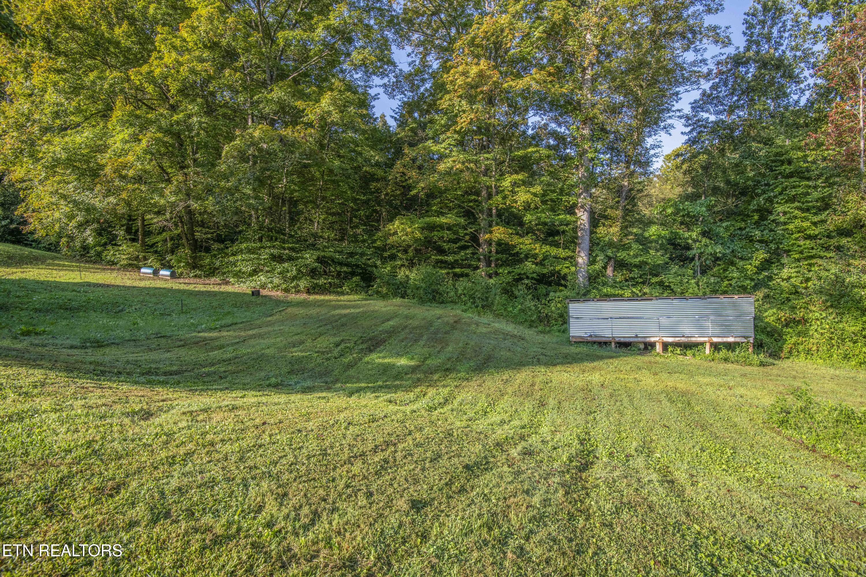 505 Monroe Road Maynardville, TN 37807 - Photo 34 of 39 yard 2_1