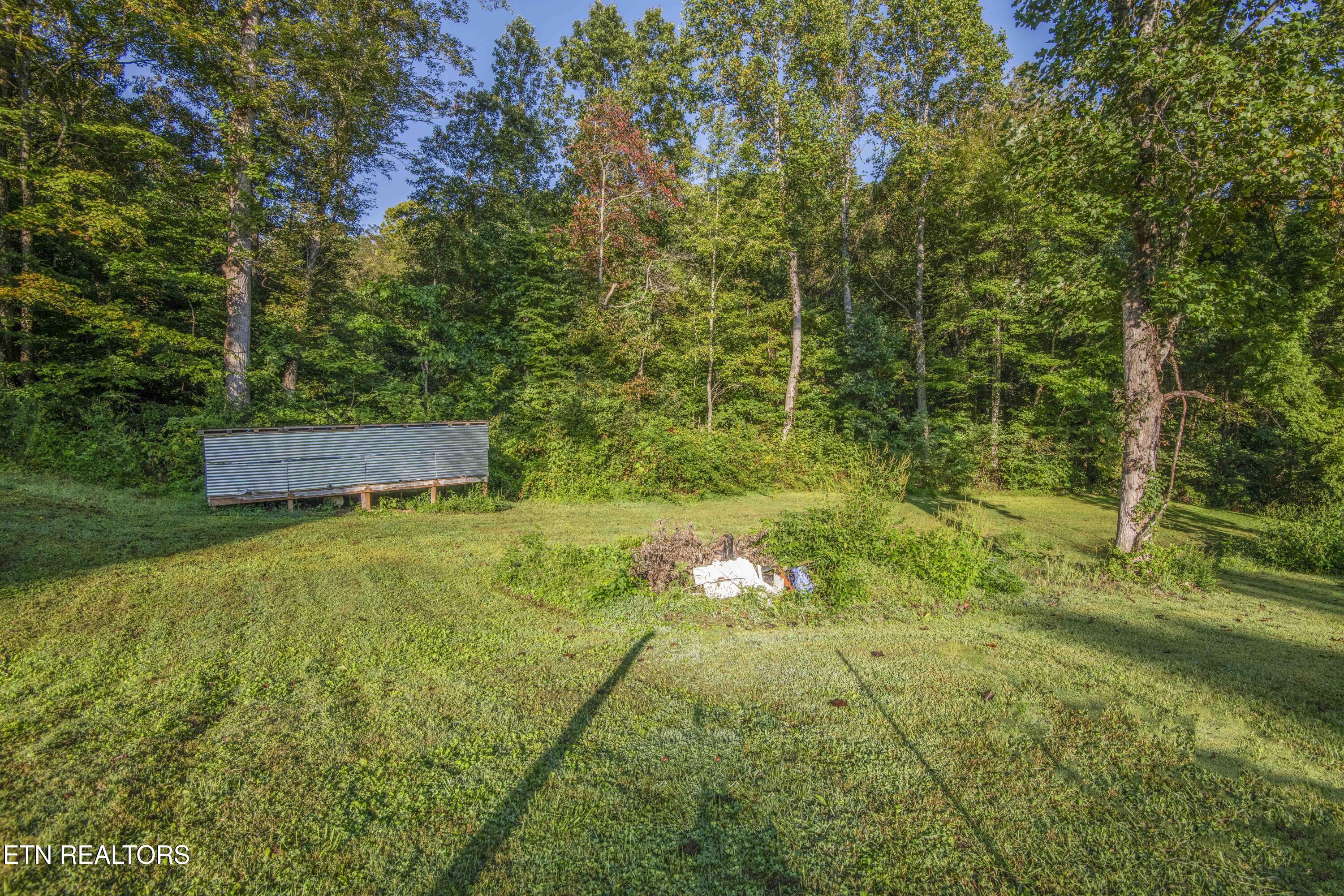 505 Monroe Road Maynardville, TN 37807 - Photo 35 of 39 yard 3_1