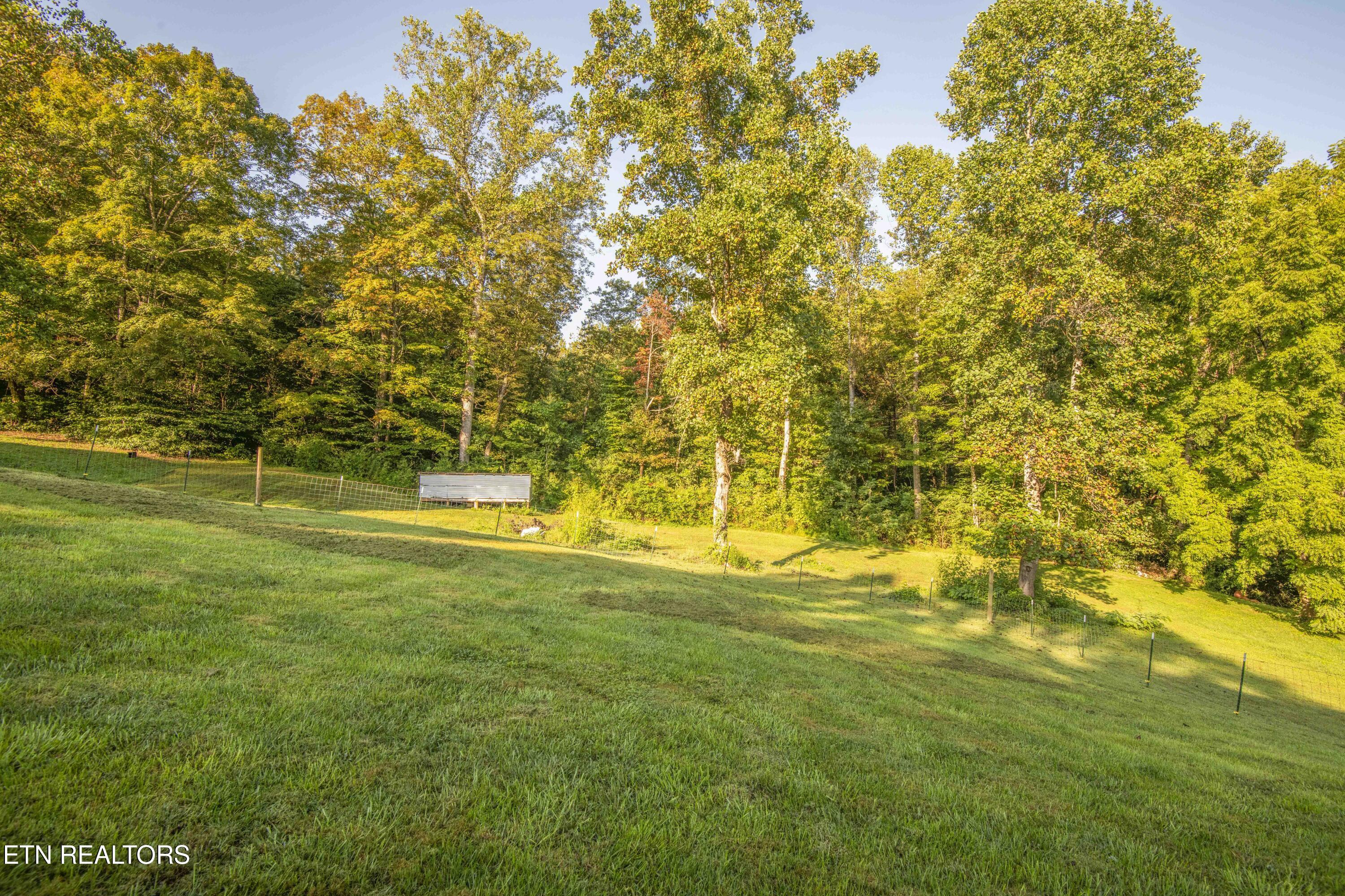 505 Monroe Road Maynardville, TN 37807 - Photo 38 of 39 yard 6_1