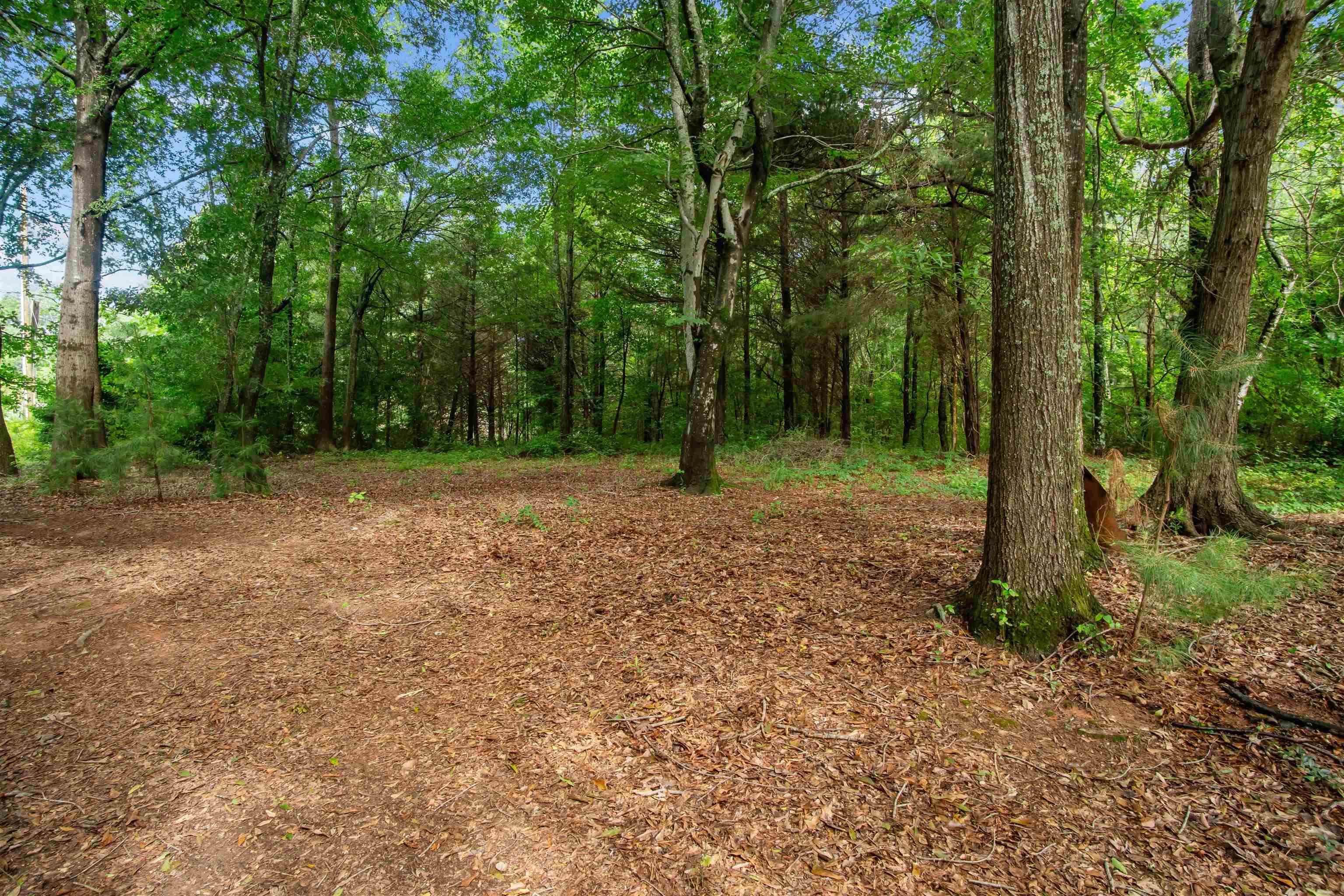 131 McGinnis Road Chesnee, SC 29323 - Photo 28 of 50