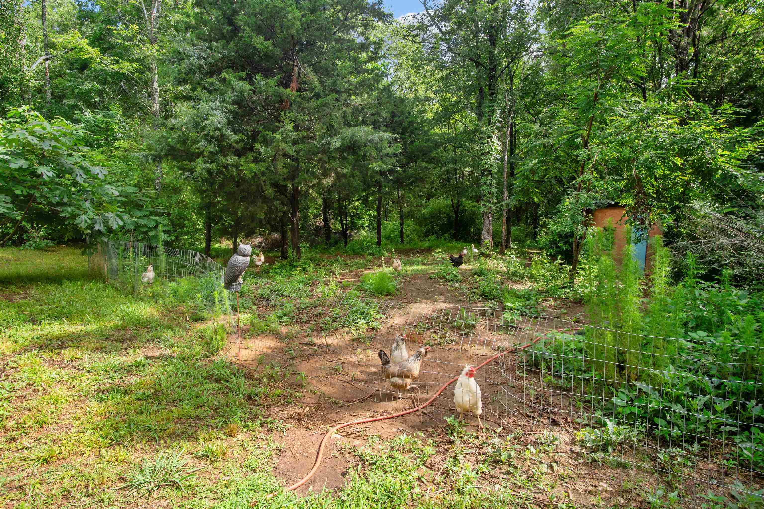 131 McGinnis Road Chesnee, SC 29323 - Photo 34 of 50