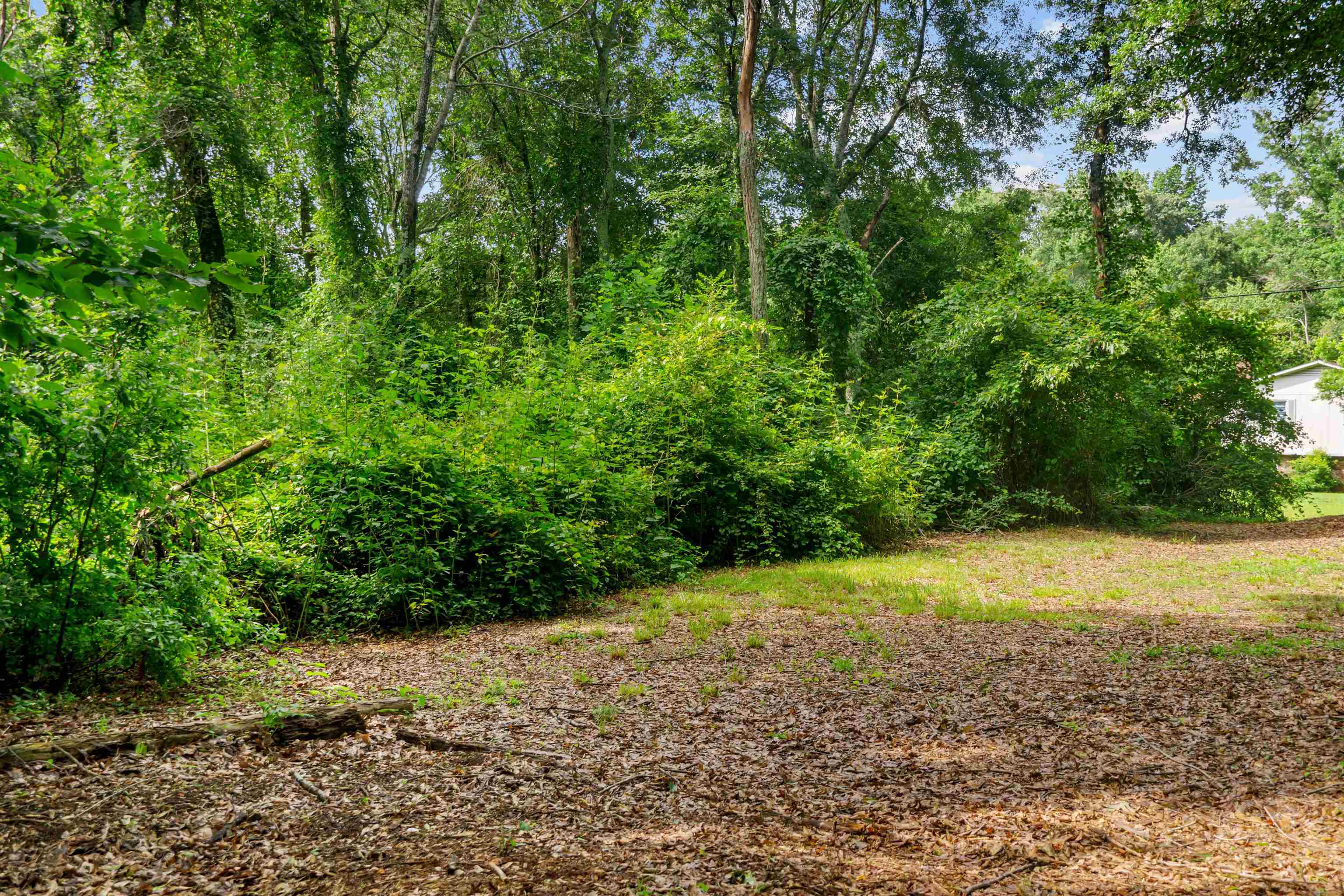 131 McGinnis Road Chesnee, SC 29323 - Photo 39 of 50