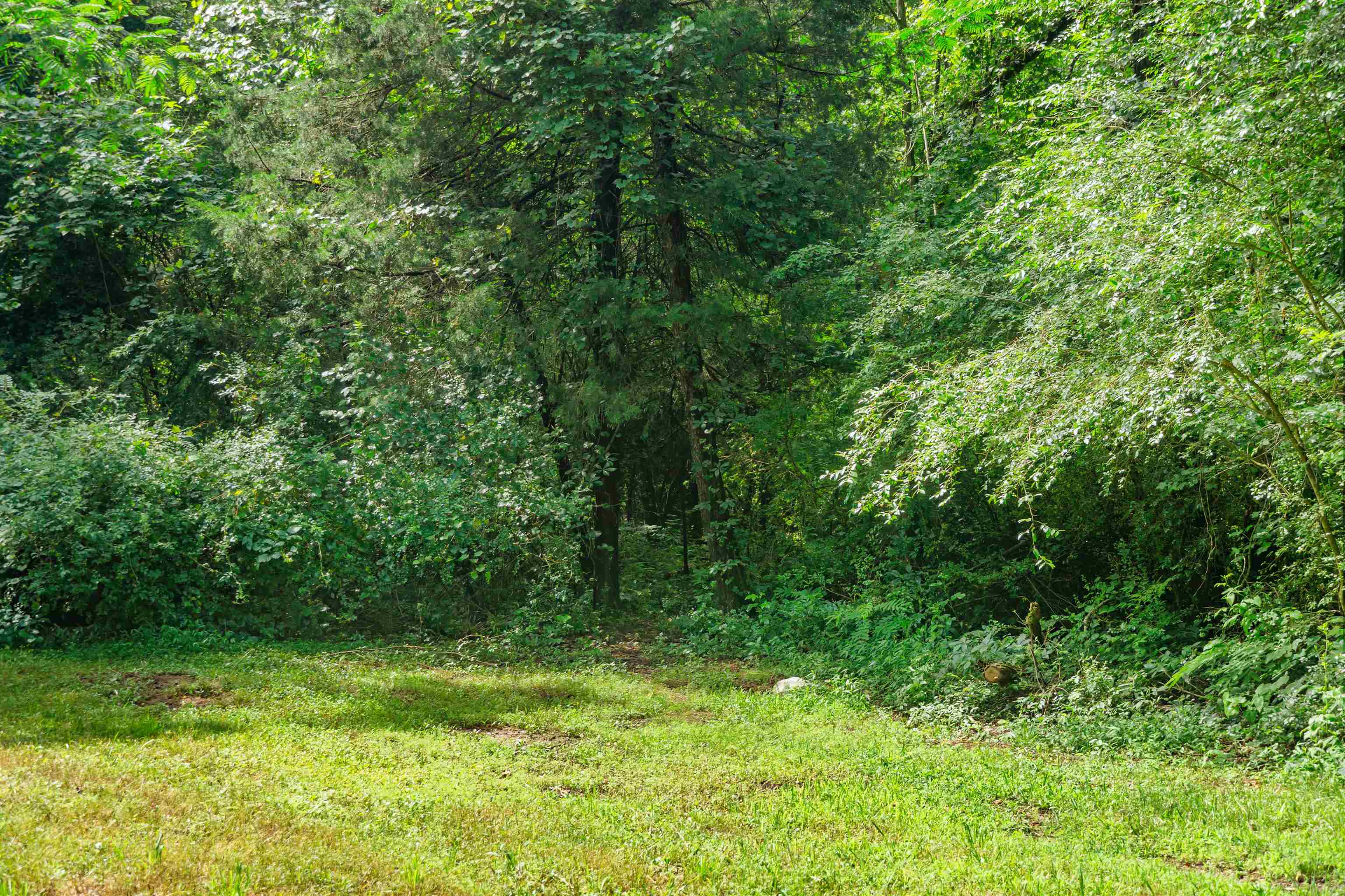 131 McGinnis Road Chesnee, SC 29323 - Photo 41 of 50