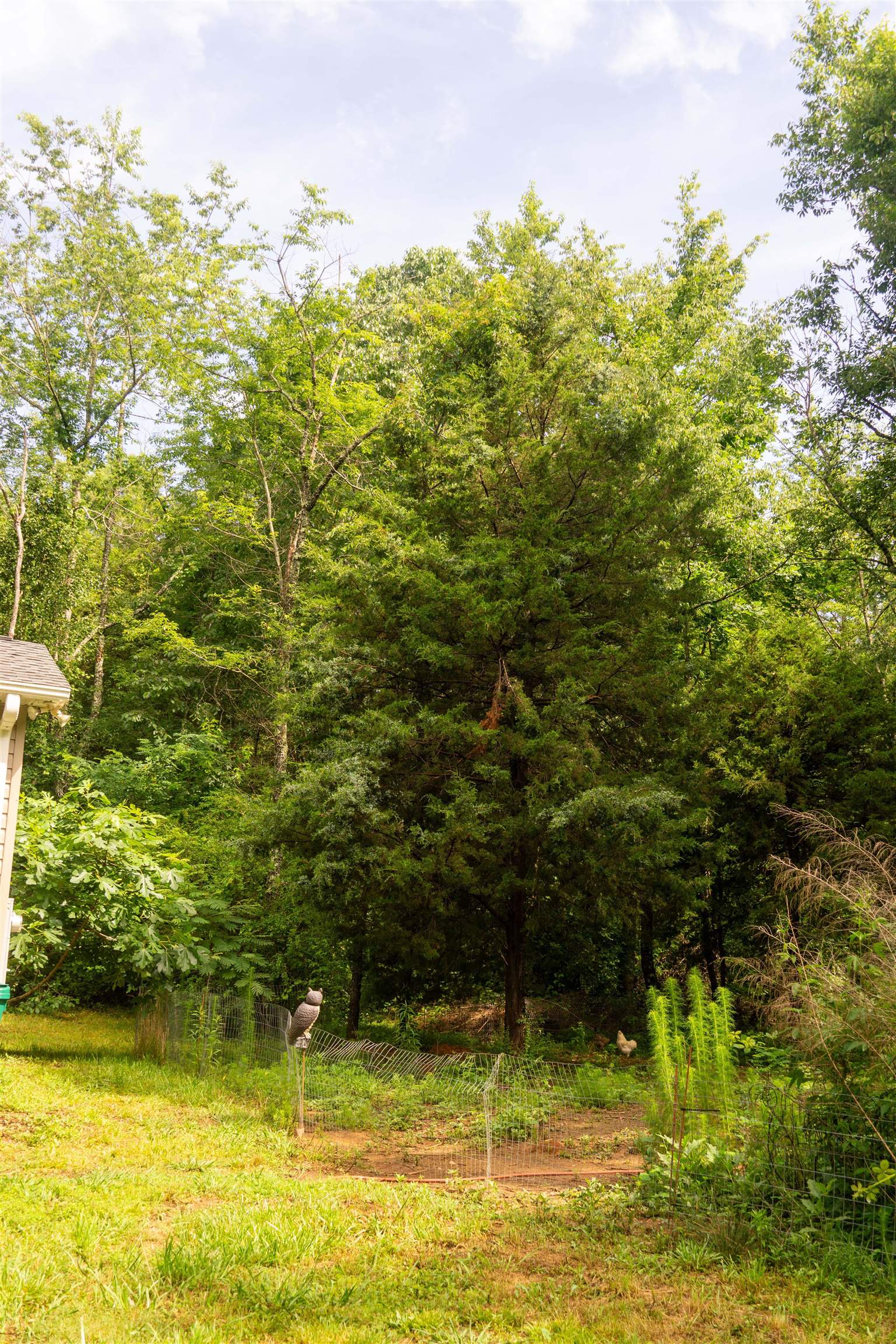 131 McGinnis Road Chesnee, SC 29323 - Photo 44 of 50