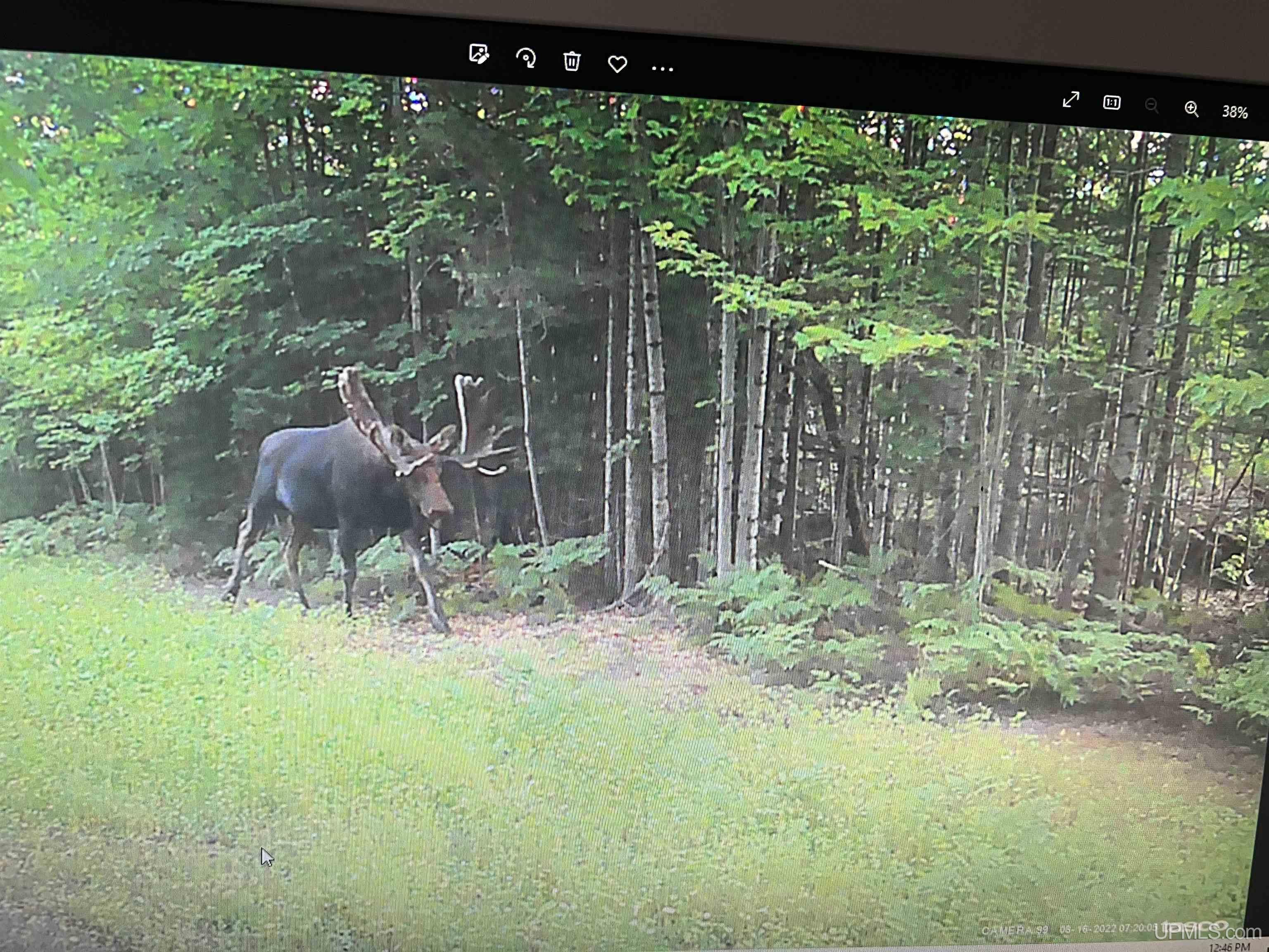 Tbd Tbd Co Road Champion, MI 49814 - Photo 8 of 27